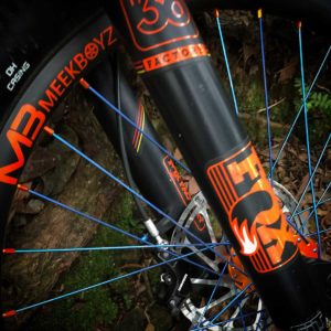 FOX Downhill Forks